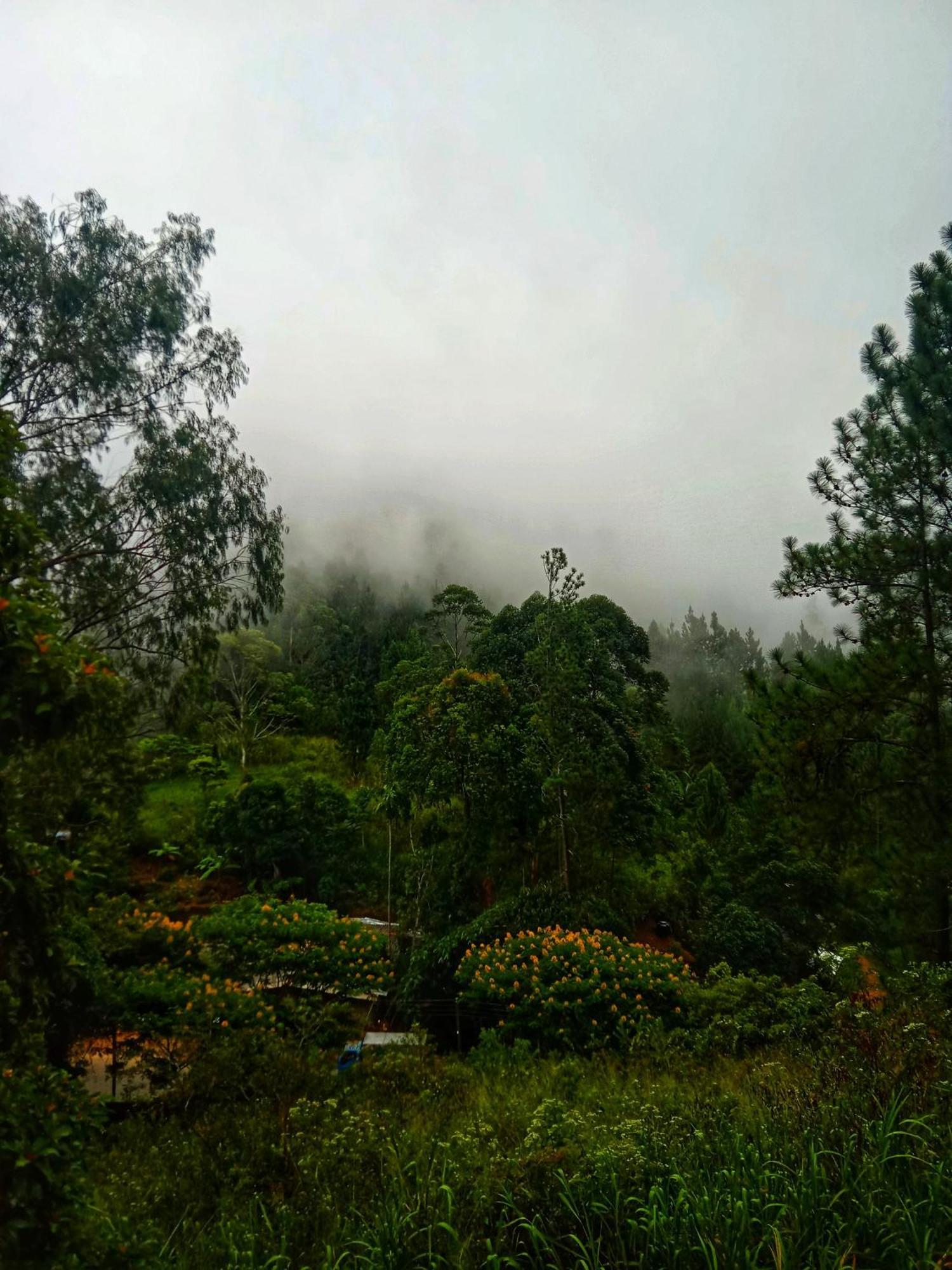 New Rose Villa Bandarawela Ella Exterior foto