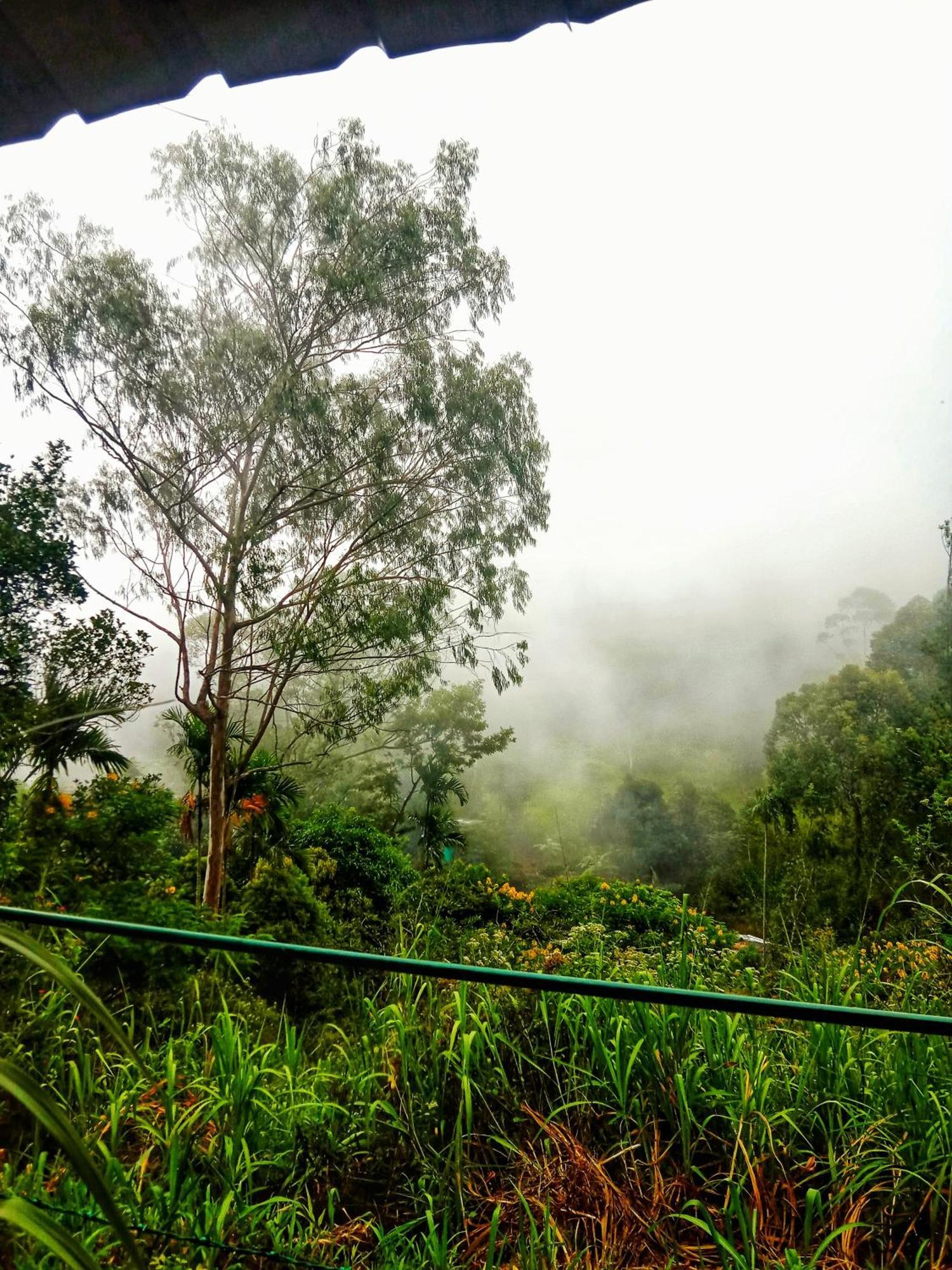 New Rose Villa Bandarawela Ella Exterior foto