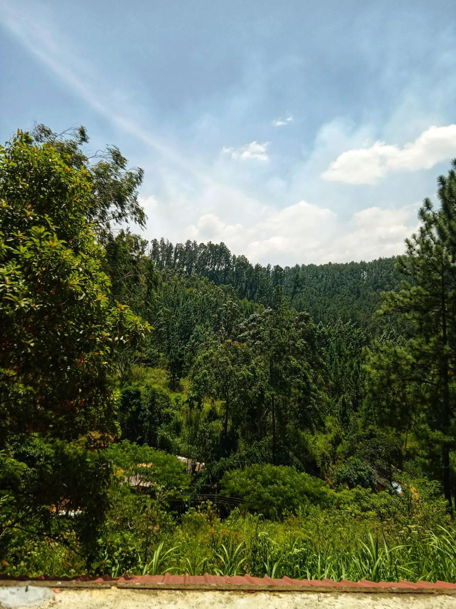 New Rose Villa Bandarawela Ella Exterior foto